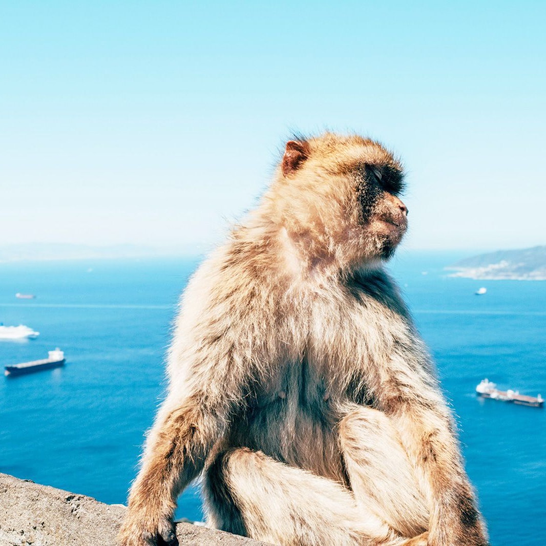 Gibraltar eSIM