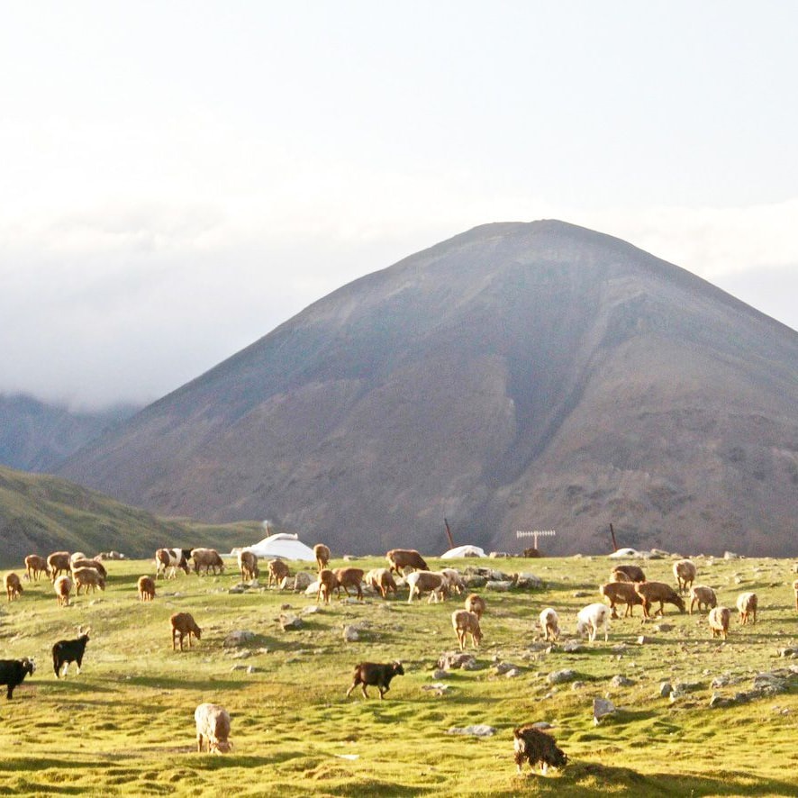 Mongolia eSIM - Natural Day