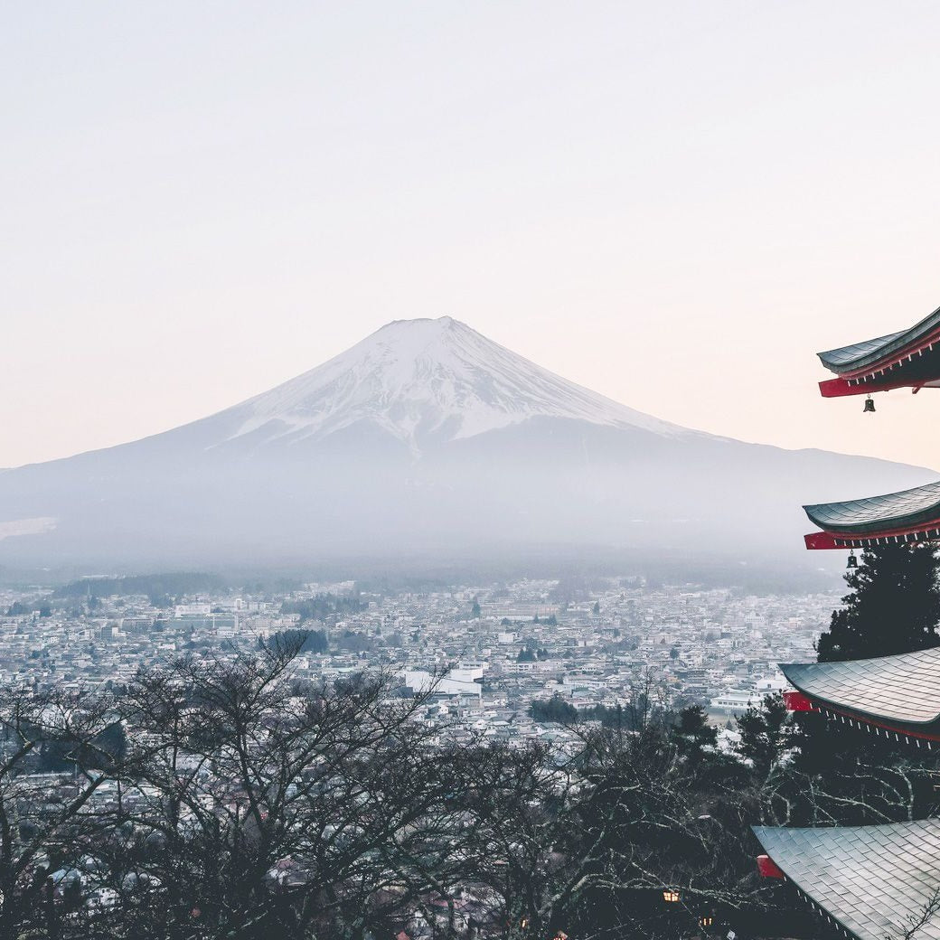 Japan eSIM