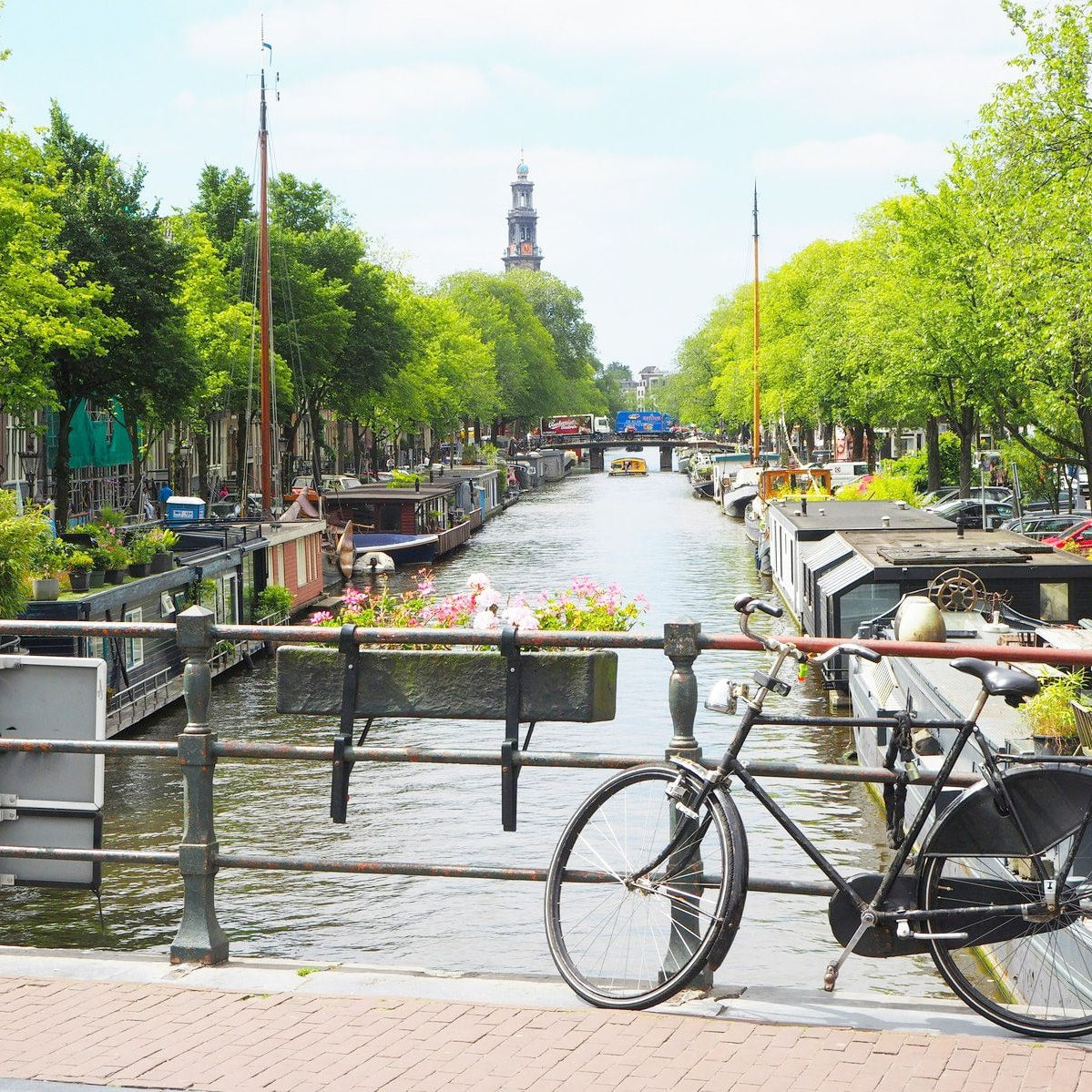Netherlands eSIM